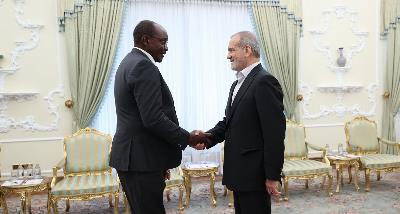 The meeting of the Vice President of Zimbabwe with the Iran President